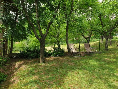 dos sillas sentadas bajo un árbol en un patio en Log cabin en Belgrado