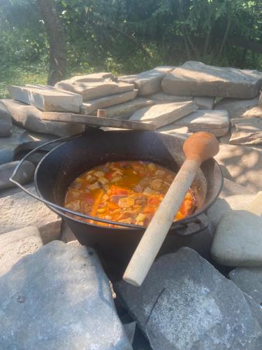 een pot soep in een pan met een houten lepel bij Casa Cataleya in Bucşoaia