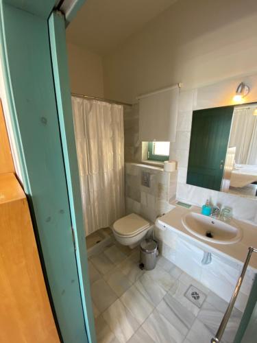 a bathroom with a toilet and a sink at Hotel Plakures in Falasarna