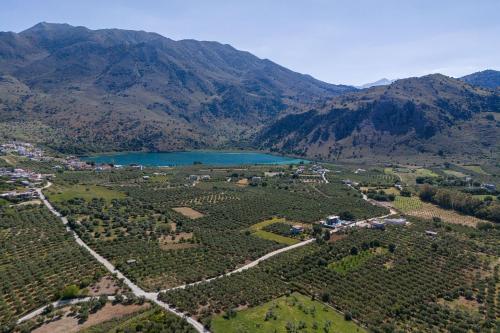 Elinor Villa - Nature Retreat amidst Mountains & Lake by etouri