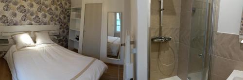 ein kleines Schlafzimmer mit einem Bett und einer Dusche in der Unterkunft Aux nids douillets Mayetois "les hirondelles" in Mayet-de-Montagne