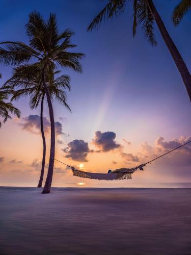 a hammock on a beach with two palm trees at One&Only Reethi Rah in Reethi Rah