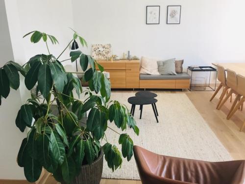 - un salon avec une plante en pot et un canapé dans l'établissement Prachtig gerenoveerd appartement, à Ostende