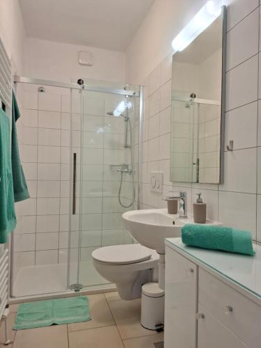 a bathroom with a shower and a toilet and a sink at Apartment Sandy in Hvar