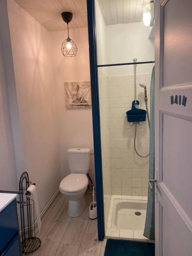 un bagno con WC e doccia di La petite Maison a Toulon-sur-Arroux