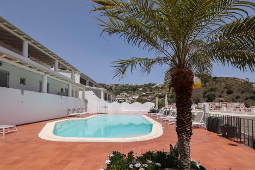 una palmera sentada junto a una piscina en Hotel Villa Cute - HVC en Lipari