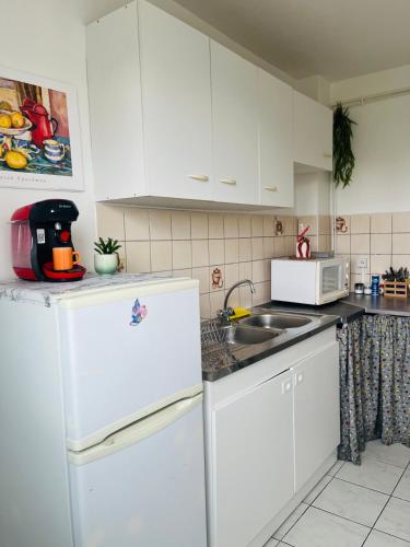 une cuisine avec un réfrigérateur blanc et un évier dans l'établissement Studio lumineux et chaleureux., à Marseille