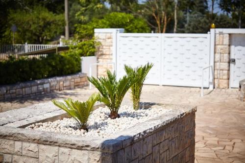 a stone planter with two palm trees in it at Villa D'Aprile Exclusive Luxury Villa with pool, Jacuzzi, SPA in Castellana Grotte