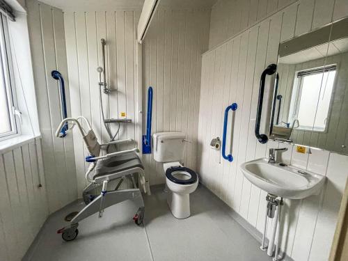 a small bathroom with a toilet and a sink at Beautiful 6 Berth Lodge With Disabled Access At Cherry Tree Ref 70829c in Great Yarmouth