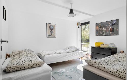 Asperup的住宿－Cozy Home In Asperup With Kitchen，白色的客房设有两张床和窗户。