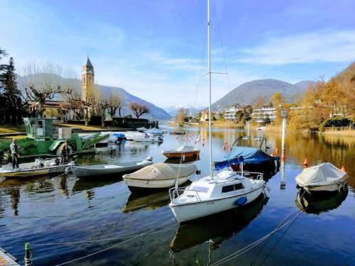 a group of boats are docked in a harbor at Casa Pedrarias in Lavena Ponte Tresa