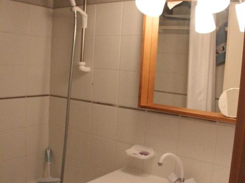 une salle de bain avec douche, toilettes et miroir dans l'établissement Charmant 3 pièces à Châtel avec balcon, proche pistes et navettes, pour 6 personnes - FR-1-676-62, à Châtel