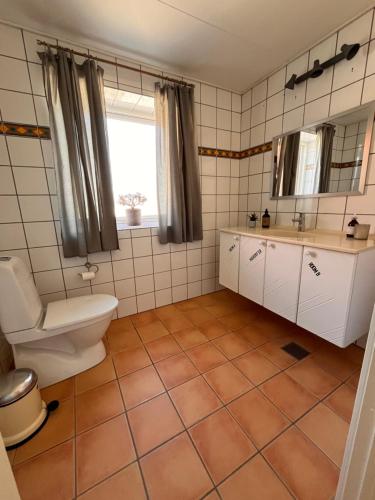 bagno con servizi igienici e lavandino di Munkgaard Bed & Breakfast a Rødvig