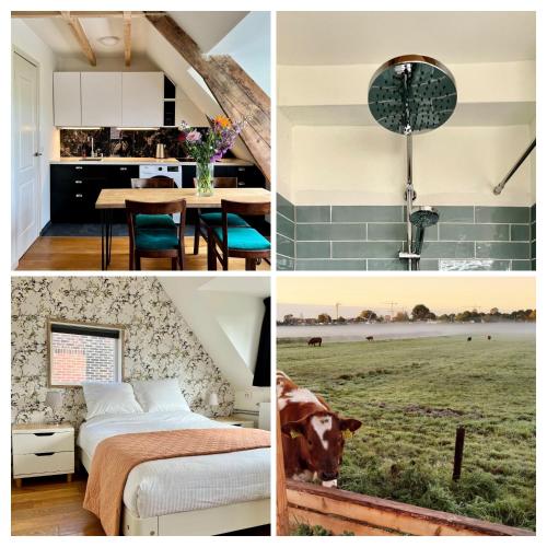 a collage of pictures of a kitchen and a bedroom at The Grutto, private apartment 25 min from city center in Amsterdam