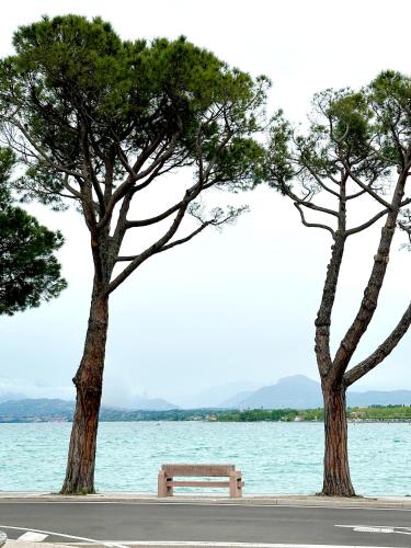 Φυσικό τοπίο κοντά σε αυτή η βίλα