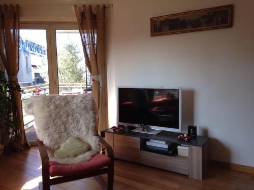 Il comprend un salon avec une chaise et une télévision à écran plat. dans l'établissement Joli 3 pièces + terrasse LaVillette, à Paris