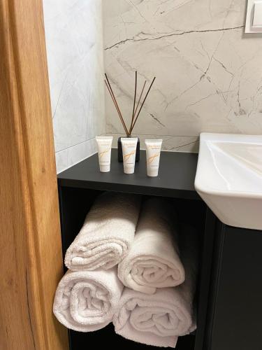 Bilik mandi di Apartamenty nad Baryczą