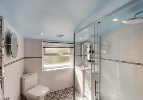 uma casa de banho com um WC e uma cabina de duche em vidro. em Wellies em Appledore