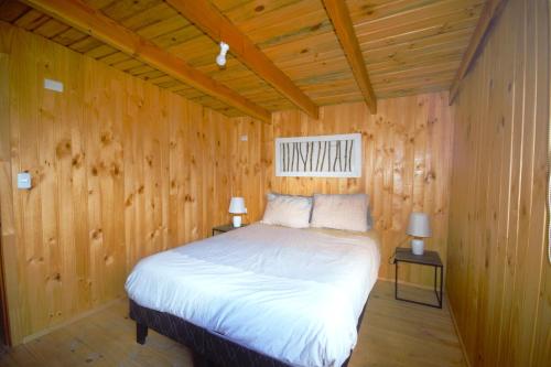 1 dormitorio con 1 cama en una habitación de madera en Casa Neltume Huilo Huilo, en Neltume
