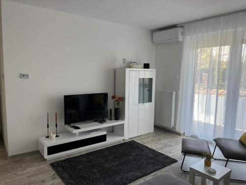 A television and/or entertainment centre at ADA Apartman Sopron