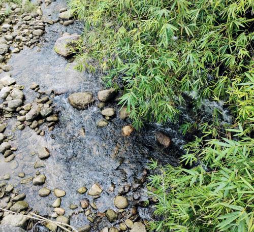 una corriente de agua con rocas y hierba en The Lodge At The Creek Haus, en Baen