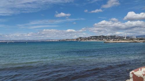 une vue sur une grande étendue d'eau dans l'établissement Appartement Vue Mer Pointe Rouge, 50m plage, à Marseille