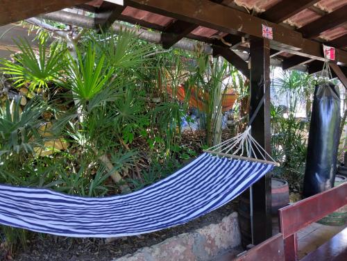 a blue hammock in a garden with plants at Hostel Varna Botanika in Varna City