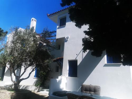 Fotografie z fotogalerie ubytování Maison Des Oliviers 4 CHAMBRES, PISCINE PRIVEE, MER, PLAGE, VILLAGE v destinaci Afitos