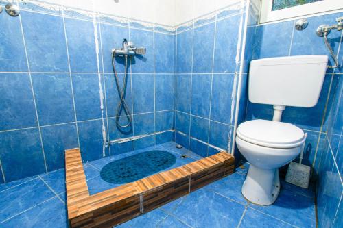 y baño de azulejos azules con aseo y ducha. en Konak, en Podgorica