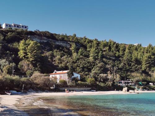 Příroda nedaleko vily