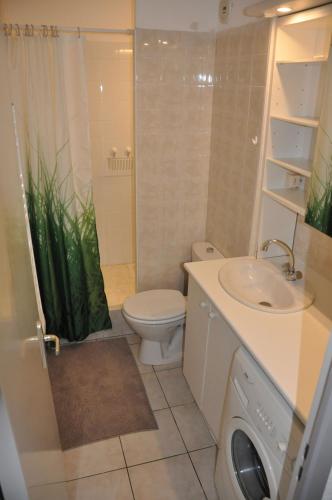 une salle de bain avec toilettes, lavabo et douche dans l'établissement 260 lake waterfront holiday apartment with garden, à Hourtin