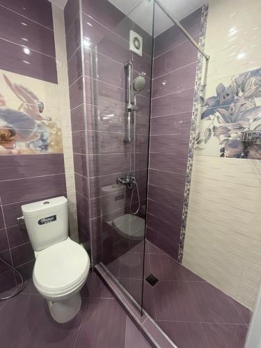 uma casa de banho com um WC e uma cabina de duche em vidro. em Апартамент за гости Incanto del mare em Sarafovo