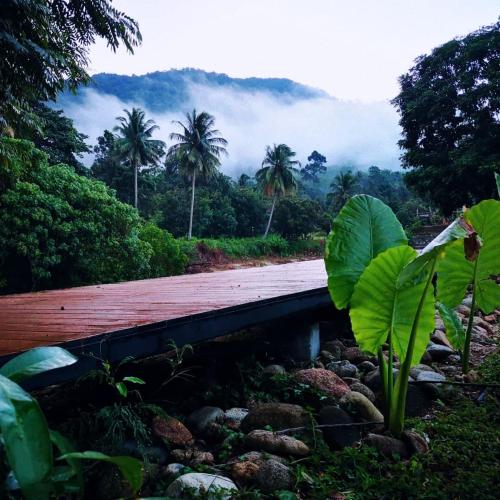 Billede fra billedgalleriet på The Creek Haus i Baen