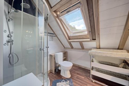a small bathroom with a toilet and a shower at La Nabias - Maison de montagne in Adervielle