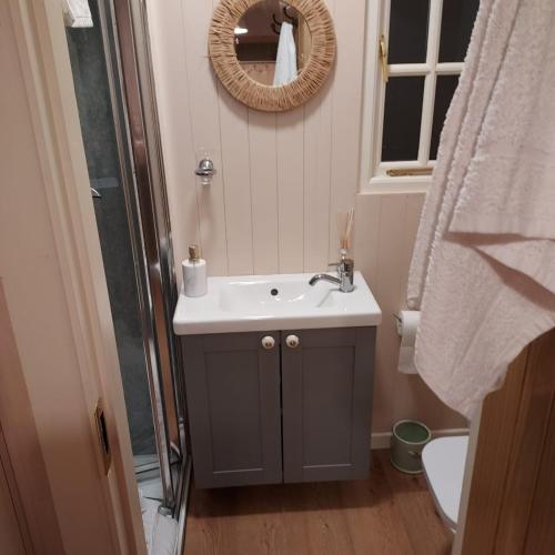 a bathroom with a sink and a mirror at Abbeyview House B&B and Glamping in Abbeyshrule