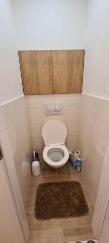 a small bathroom with a toilet and a rug at Apartmán Petzvalova 51 in Myslava