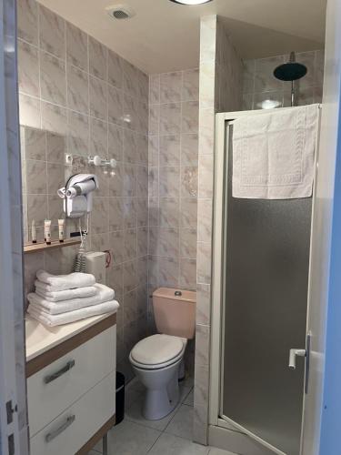 une salle de bain avec toilettes et douche dans l'établissement Hôtellerie de l'Abbaye Saint Amand, à Saint-Amand-de-Coly