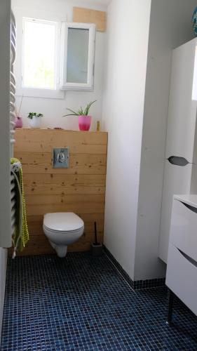 ein Bad mit einem weißen WC und einem Fenster in der Unterkunft Appartement de plein pied Toulouse Nord in Castelginest