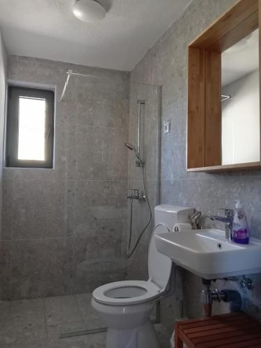 コラシンにあるMountain Mosaic Apartmentsのバスルーム(シャワー、トイレ、シンク付)