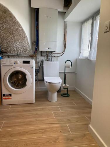 La salle de bains est pourvue de toilettes et d'un lave-linge. dans l'établissement Jacuzzi avec vue exceptionnelle, à Vienne