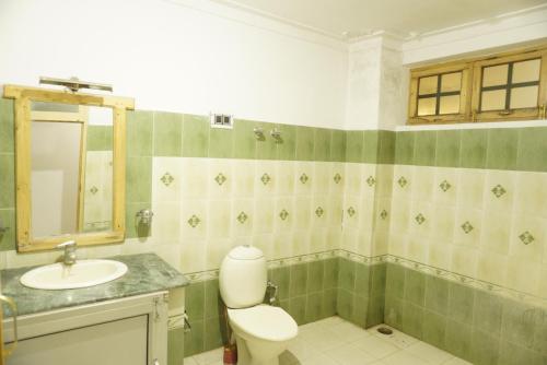 La salle de bains est pourvue de toilettes et d'un lavabo. dans l'établissement Hotel Leh Castle, à Leh