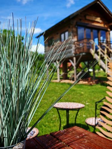 Zahrada ubytování Baumhaus Heuhütte