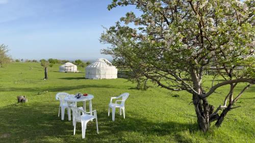 Příroda nedaleko luxury tent