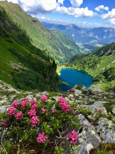a view of a mountain lake with pink flowers at Studio Sinabell - Apartment mit Bergblick und Balkon in Ramsau am Dachstein