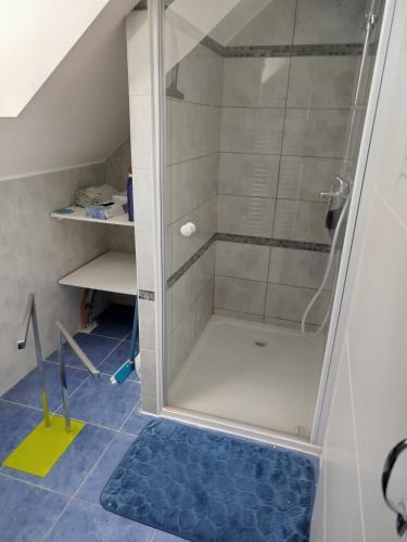 eine Dusche mit Glastür im Bad in der Unterkunft Chambre dans maison avec salle de bain collective in Cluses