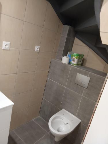 Elle comprend une petite salle de bains pourvue de toilettes. dans l'établissement Studio meublé 3 personnes, à Saint-Rambert-dʼAlbon