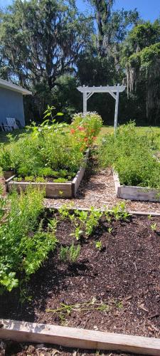 un jardín con un arco blanco y algunas plantas en Cute Brand New Home near Tampa Bay-Vicenza Home en Riverview
