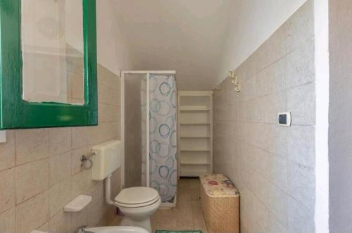 La petite salle de bains est pourvue d'une douche et de toilettes. dans l'établissement Villa Serenità Vintage Charm a Lido Marini, à Lido Marini