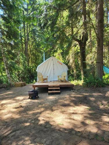a tent with a bench and a table in a forest at Landing at Lake Ploenta in Arlington