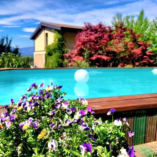 Piscina en o cerca de B&B Relais Cascina al Campaccio